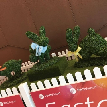 Plastic Topiary for Easter Campaign