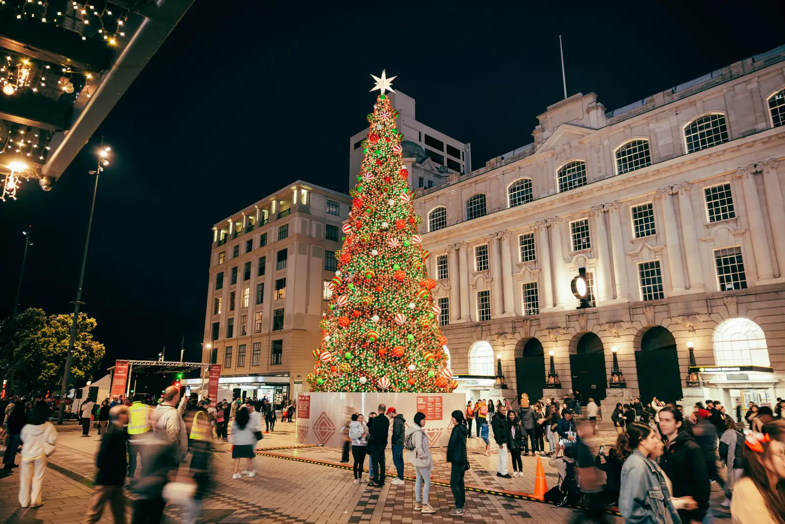 Auckland Christmas tree experience