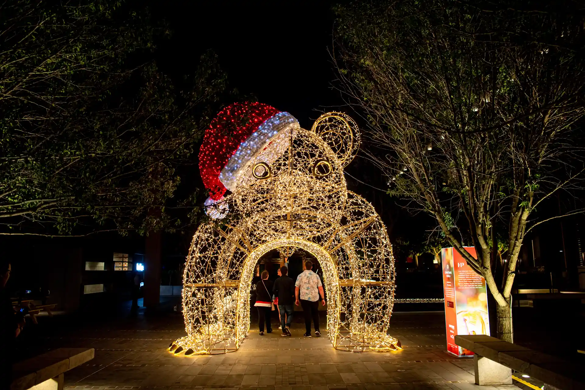 City of Perth - Koala - Light trail