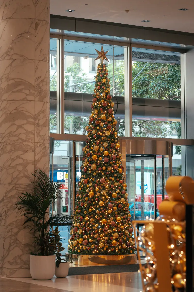 2 Park Street - Christmas