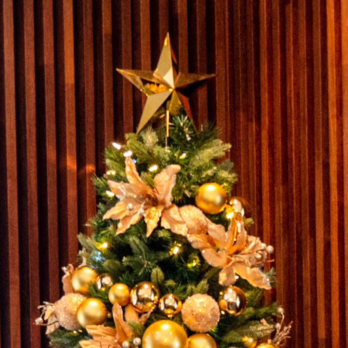 Parmelia Hilton - Christmas