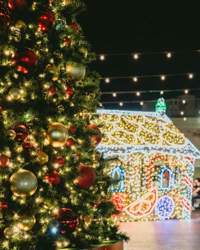 Strathfield Council - Christmas