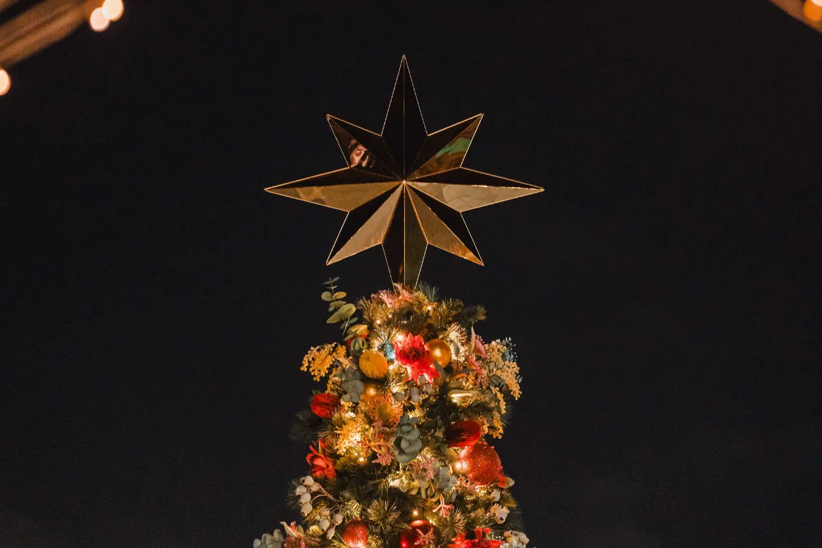 Wollongong Council Christmas tree